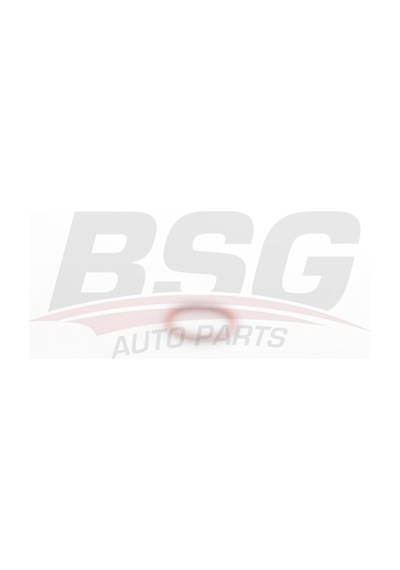 Bsg Turbo Contası Orıng Conta - Fluence/megan Iıı 07-