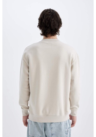 DeFacto Boxy Fit Bisiklet Yaka Baskılı Sweatshirt X8282AZ24AUBG766 Bej