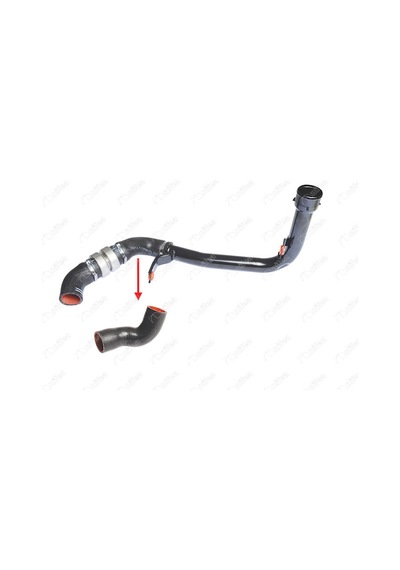 Orta Turbo İntercooler Hortumu Küçük Nifea 14871 Peugeot Boxer Iıı / Citroën Jumper Iıı / Fiat Ducato Iıı