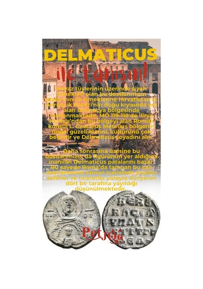 Petjoo 28.Delmaticus Kırmızı-Sarı Qr'lı Köpek Künyesi
