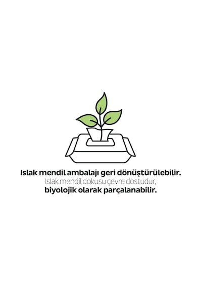 Sleepy Ecologic Yenidoğan Islak Bebek Bakım Havlusu 24 X 40'Lı