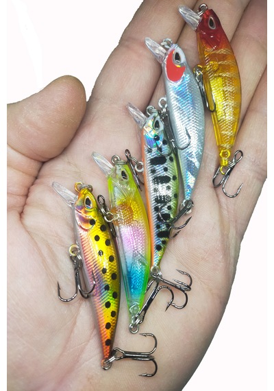 5 Adet Kutulu Lrf Ve Spin Suni Rapala 5.8 Cm 5.4 Gr Balık Yem Seti