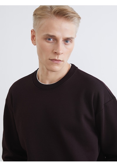 Lcw Vision Kahverengi Bisiklet Yaka Erkek Kalın Sweatshirt