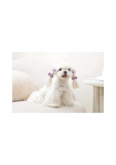 M-pets Glam Köpekler İçin Aksesuar Toka - Mor