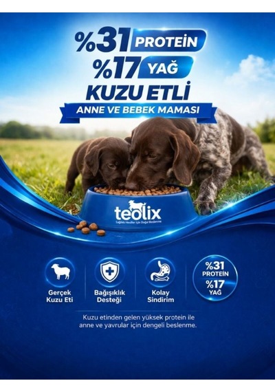 Teolix Kuzu Etli Anne Ve Yavru Köpek Maması %31 Protein %17 Yağ Dengeli & Tam Beslenme 15 Kg