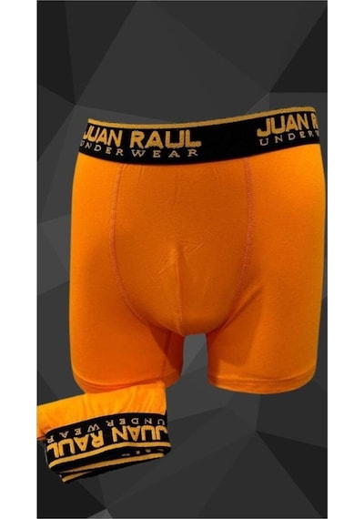 Turuncu Erkek Boxer