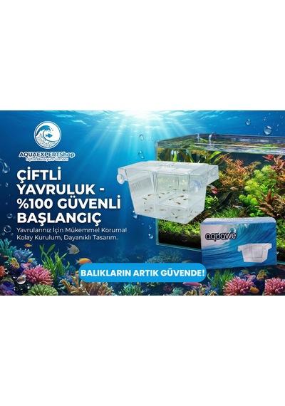 Aquawe Çiftli Yavruluk - Şeffaf Tasarım - 19,5 X 10 Cm - Şeffaf Vantuzlu - Sağlam Yapı - Balıklar İçin Güvenli
