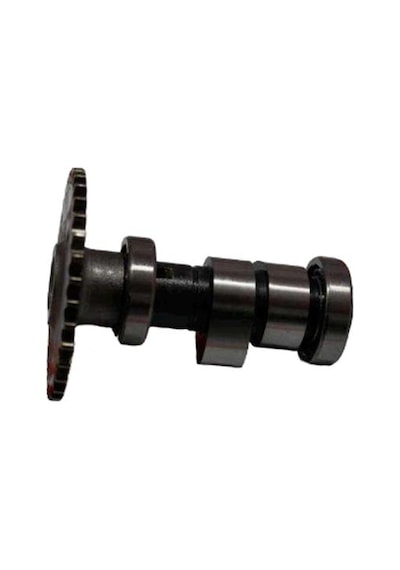 Msr-cf 250 Eksantrik