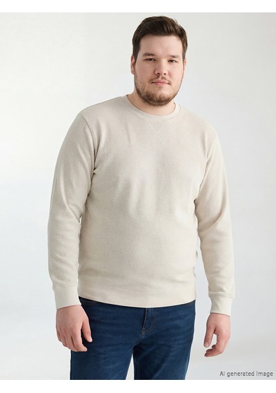 Lcwaıkıkı Classic Bej Bisiklet Yaka Erkek Sweatshirt
