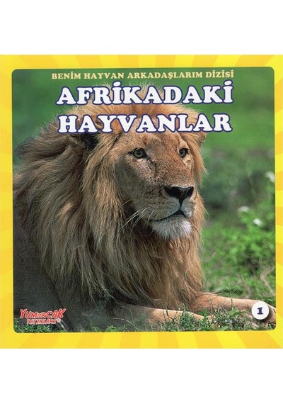 +4 Yaş Benim Hayvan Arkadaşlarım Dizisi 4’Lü Kitap Seti Yumurcak