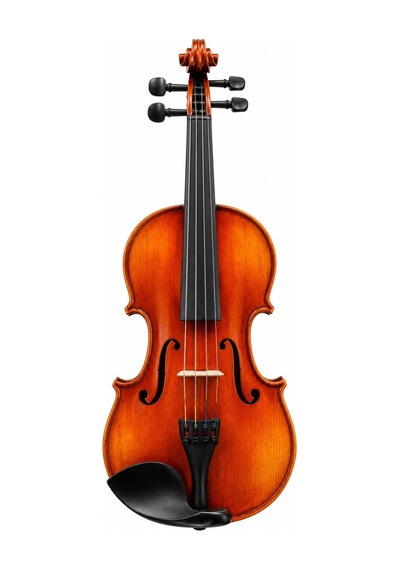 Rösler Rs100c Cadenza 4/4 Keman Seti