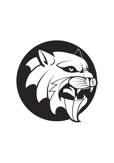 Aslan 8 Folyo Sticker 90 Cm Uzunluk Siyah