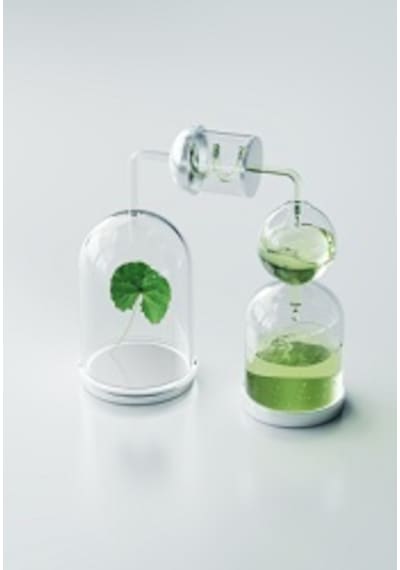 Hn Centella Asiatica Pore Cleansing Mask 120 Ml