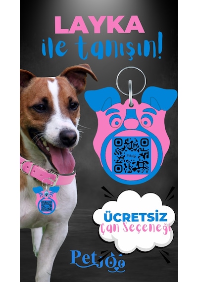 Petjoo 22.Layka Mavi-Pembe Qr'lı Köpek Künyesi