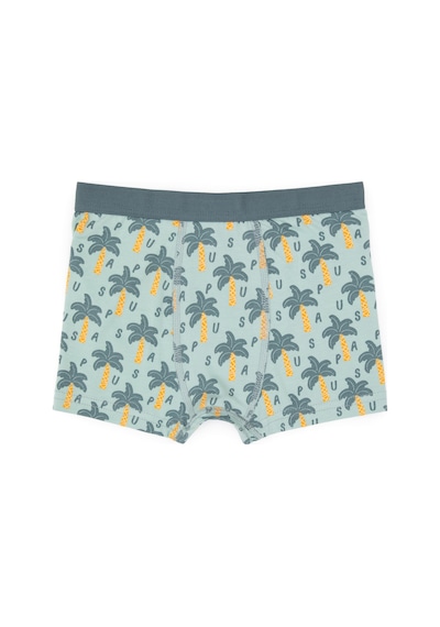 U.S. Polo Assn. Erkek Çocuk 3'lü Boxer Takım 50319388-VR048