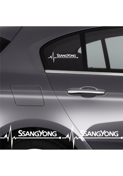Ssangyong Rexton İçin Uyumlu Aksesuar Oto Ritim Sticker 2 Adet 20 9 Cm