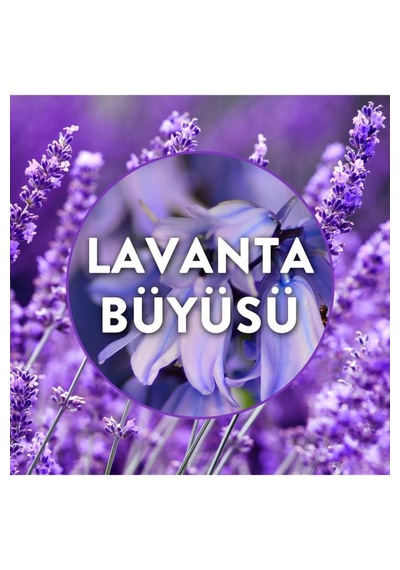 Air Wick Elektrikli Oda Kokusu Yedek Şişe Lavanta Bahçesi 19 Ml