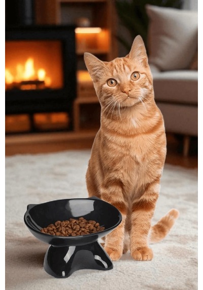 İliva Siyah Özel Tasarım Lüks Kedi Mama Kabı