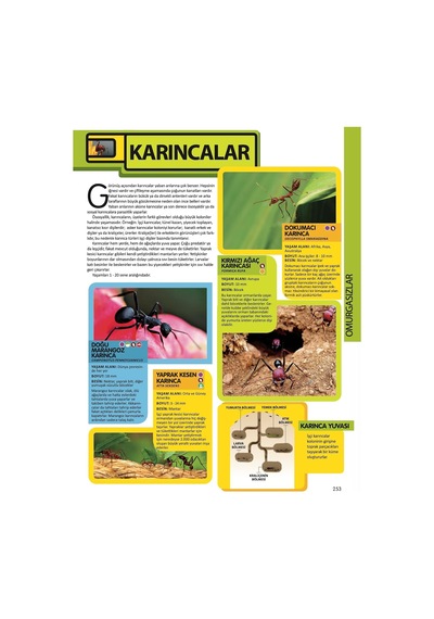 Hayvanlar Ansiklopedisi: National Geographic Kids