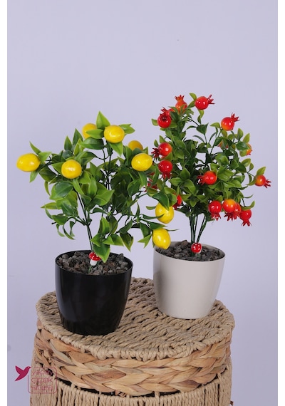 Yapay Çiçek Sitesi Plastik Saksıda Yapay Mini Limon & Nar Tanzimi 2 Li Set 33 Cm Çok Renkli