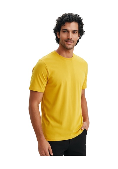 Arma Ar-ma Erkek Bisiklet Yaka Tişört Baskisiz Basic Örme Kumaş Regular Fit %100 Pamuk 30/1 Penye Süprem Y31344408202 Sarı-s1