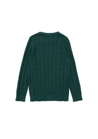 U.S. Polo Assn. Erkek Çocuk Koyu Yeşil Basic Bisiklet Yaka Kazak 50293551-VR079