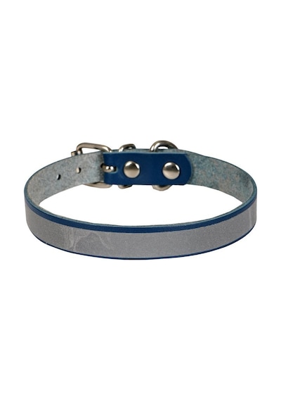 Cattie Reflektörlü Deri Kedi Boyun Tasması M 1x21-25 CM Royal Mavi
