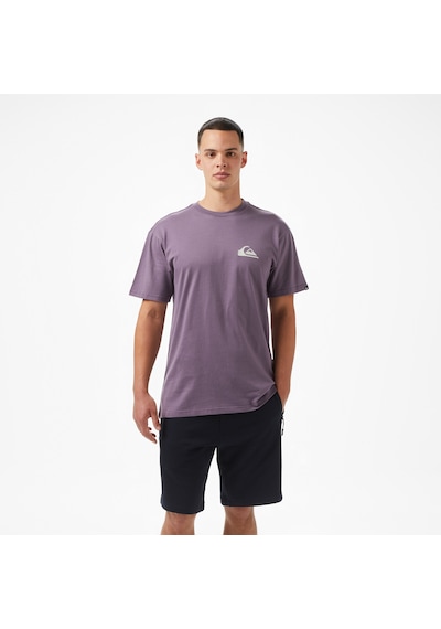 Quiksilver Ev Mini Logo Ss Erkek Mor T-shirt Eqyzt08042 Mor