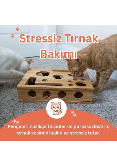 Kedikür Tırnak Törpüleyen Tırmalama Ve Oyun Kutusu
