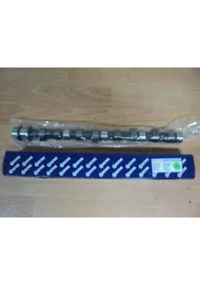 H100-L300 EKSANTRİK MİLİ MD302333