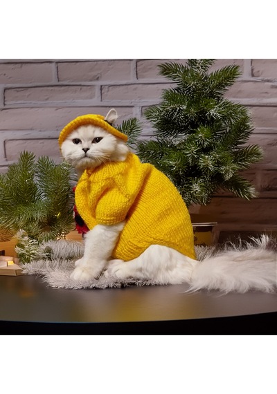 Kedi Ve Köpek İçin Maske The Mask Kostümü