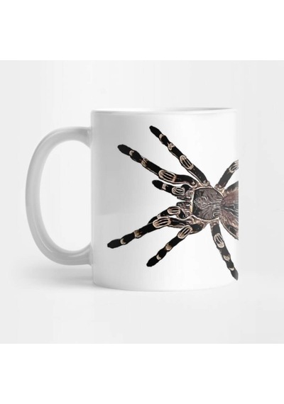 Acanthoscurria Geniculata Tarantula Kupa Bardak Çok Renkli