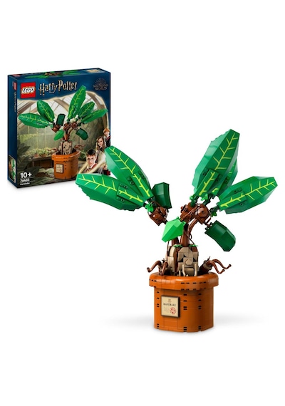 LEGO® Harry Potter 76433 Adamotu 579 Parça