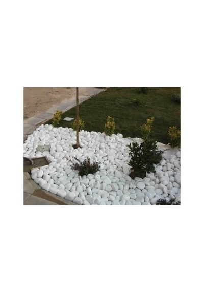 Beyaz Dolomit Taş 25 Kg 4 6 Cm Dekoratif Bahçe Süs Taşı Loche