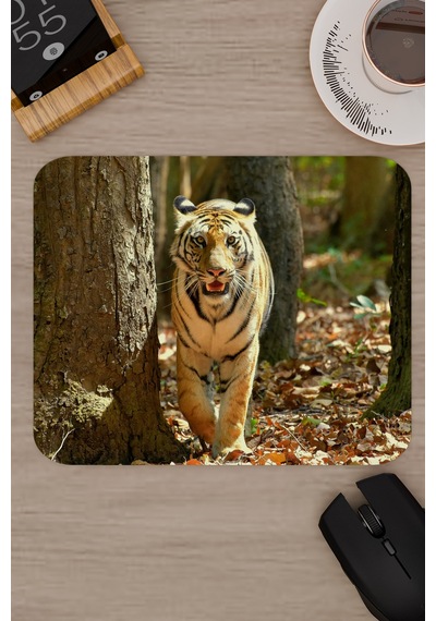 Karadeniz Kaplanı Kaymaz Dikişli Kauçuk Oyuncu Mousepad V3 - 22x18 Gaming Mouse Pad Fare Altlığı