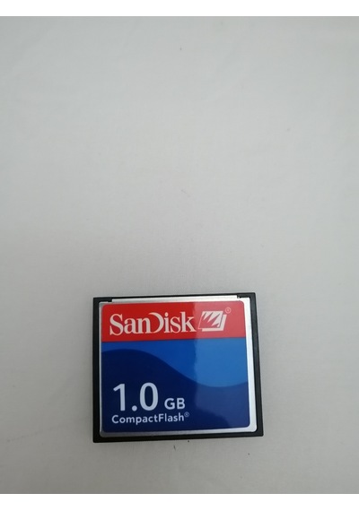 Sandisk 1 Gb Compact Flash Kart