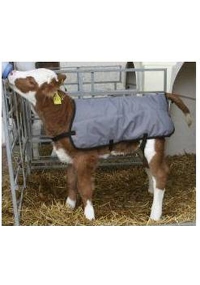 Milkivit Kuzu - Buzağı - Oğlak Maması 1 Adet 3 KG Çuval
