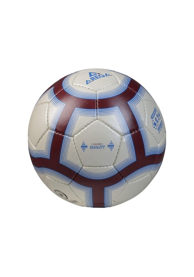 Arega Futbol Antrenman Topu Tsb-40852 02 Bordo - Mavi