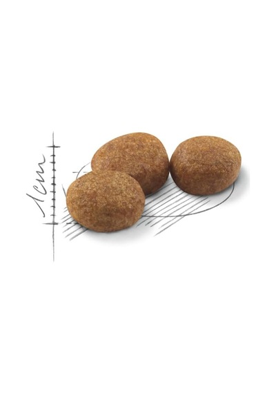 Sterilised Kısır Kedi Maması 2kg