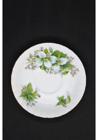 Trillium Bone China England Antika Fincan Tabağı 13.5 Cm Yeşil - Beyaz