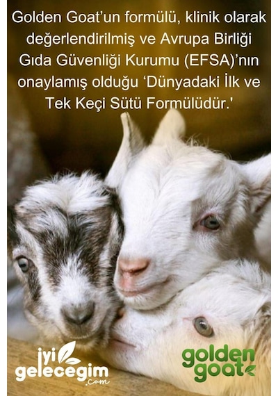 Golden Goat 1 Keçi Sütlü Bebek Sütü 400 G - 4 Adet Golden Goat 1 Keçi Sütlü Bebek Sütü 400 G - 4 Adet