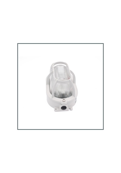 Palazzoli Rıno Serisi 60W Oval Arm. Ip65 Al. Kafesli Al. Gövde / Alüminyum