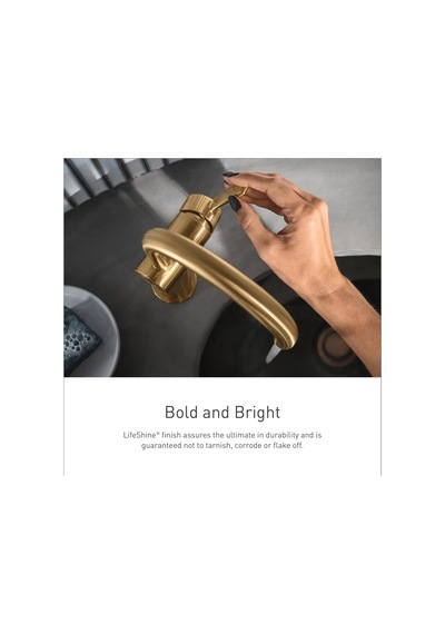 Moen Ts6984bg İki 8 Inç Yaygın Kol Banyo Bataryası Trim Seti Valf Çok Renkli