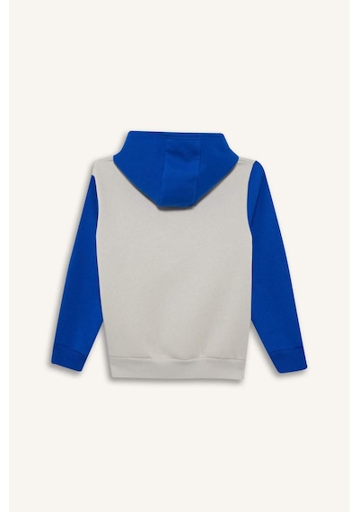 Defacto Erkek Çocuk Kapüşonlu Baskılı İçi Yumuşak Tüylü Sweatshirt G5651a825cwgr492 Gri-gr492