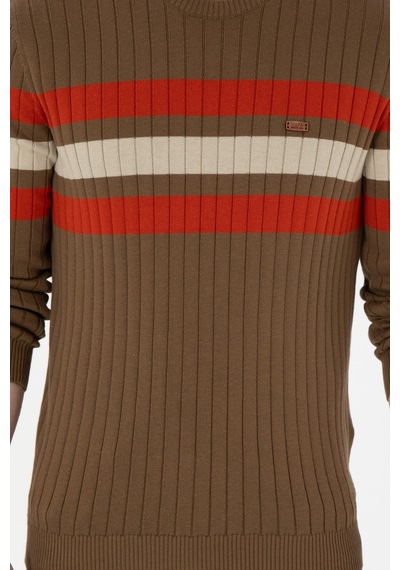 U.S. Polo Assn. Erkek Slim Fit Bisiklet Yaka Haki Kazak 50297046-VR027