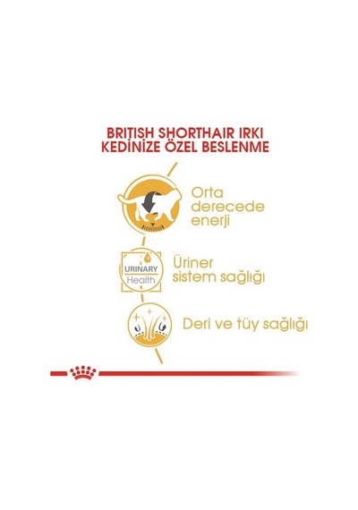 Royal Canin British Shorthair Pouch Yetişkin Kedi Konservesi 85 Gr