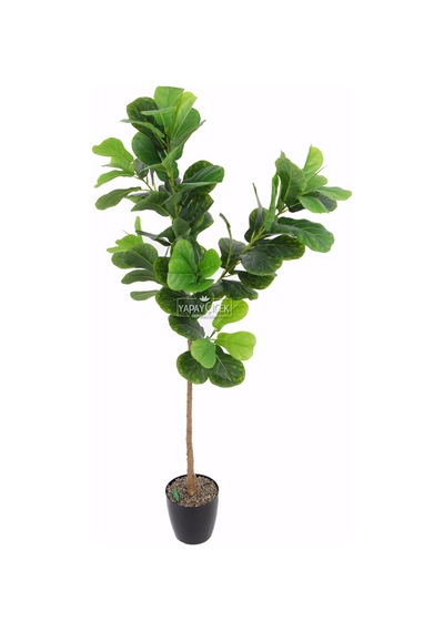 Yapay Ağac Ficus Lyrata 180 Cm