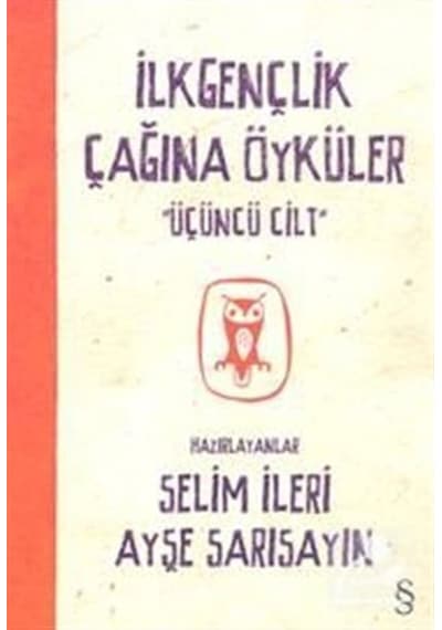 İlkgençlik Çağına Öyküler 3- Everest Yayınları
