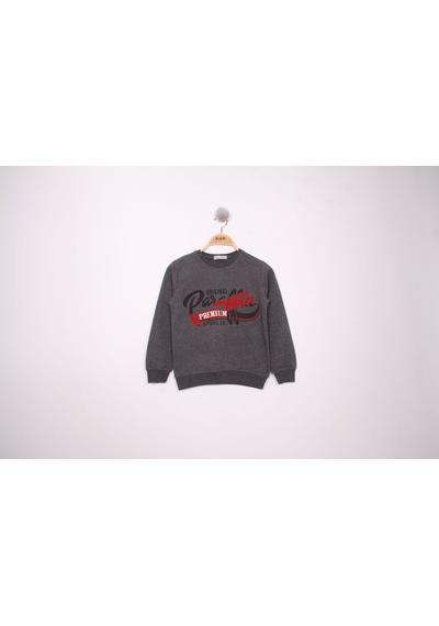 Toontoy Kids Toontoy Erkek Çocuk Relax Fit Bisiklet Yaka Baskılı Sweatshirt - 2 İplik Antrasit