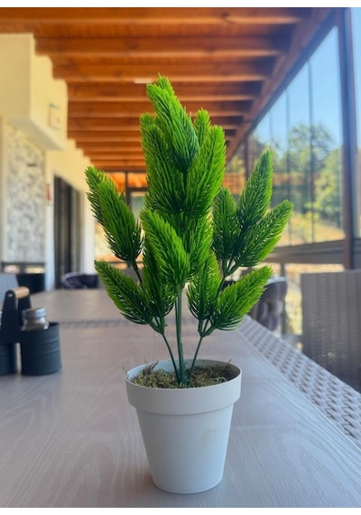 Yapay Çiçek Krem Saksıda Yeşil Kozalaklı Çam Demeti